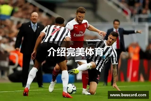 介绍完美体育